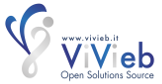 ViVieb Corporate Web Site